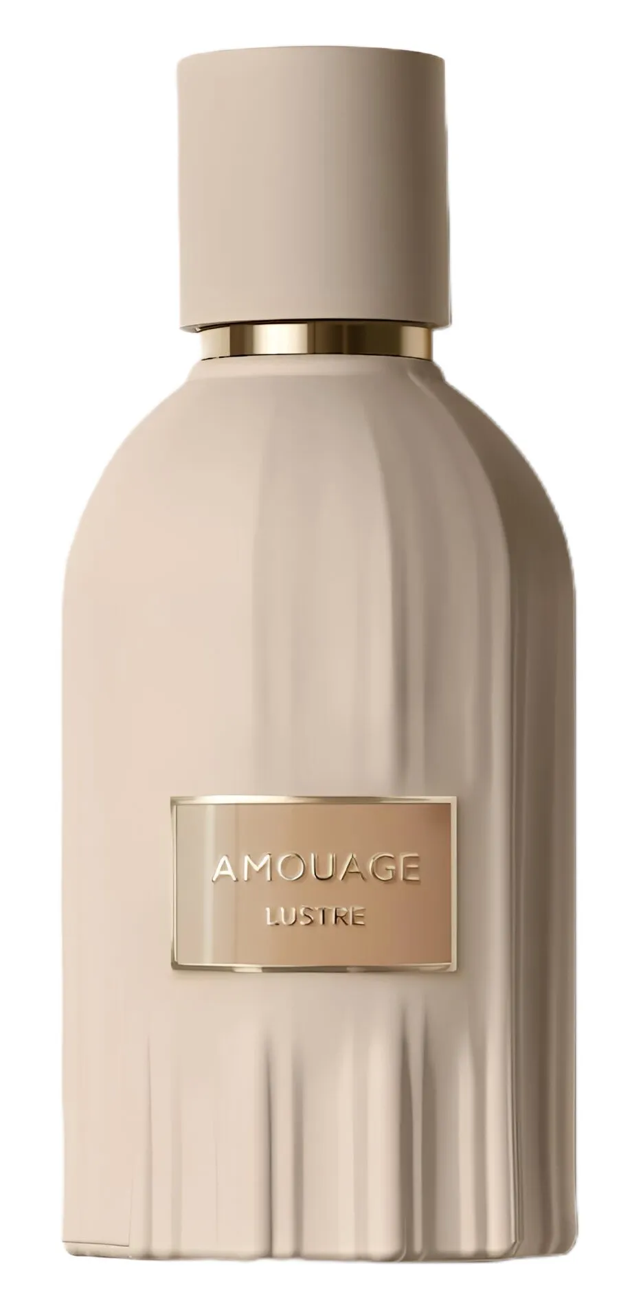 آموعاج - لویستا - مردانه و زنانه (یونی سکس) - 2024 - 100 میل